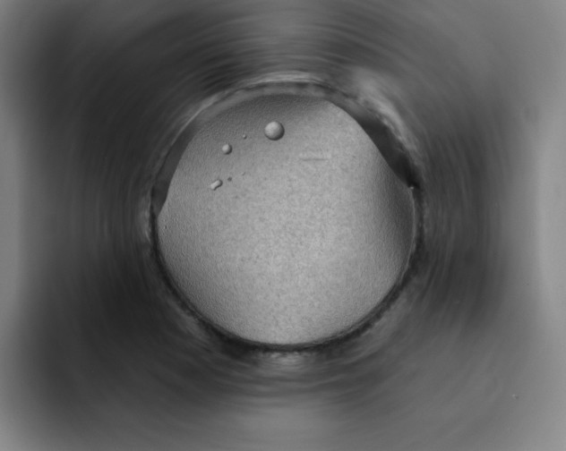 X0000091911177200709261710