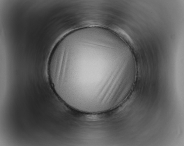 X0000091911182200709261710