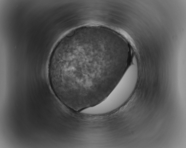 X0000091911183200709261710