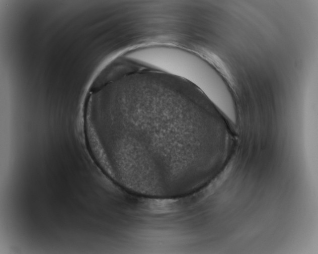 X0000091911184200709261710