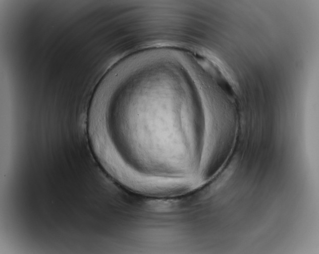 X0000091911185200709261710