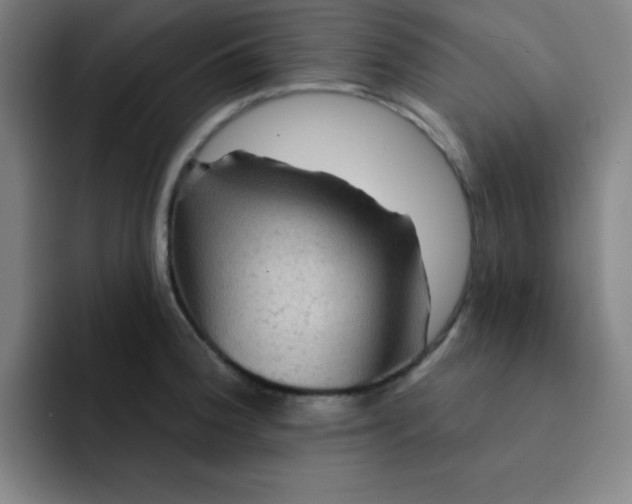 X0000091911188200709261710