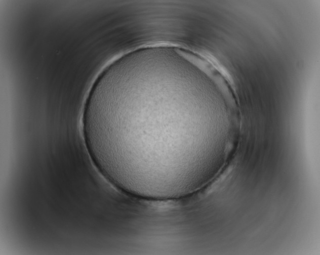 X0000091911189200709261710