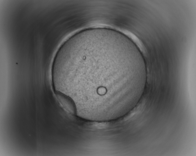 X0000091911191200709261710