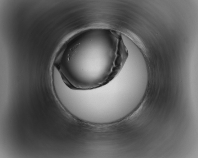 X0000091911192200709261710