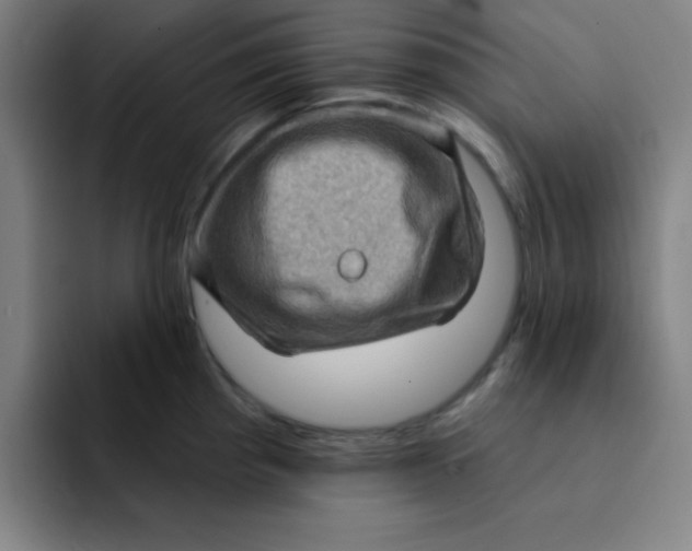 X0000091911193200709261710