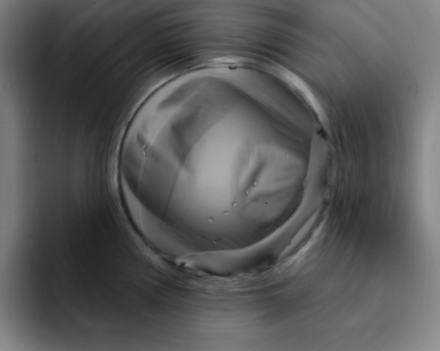 X0000091911194200709261710