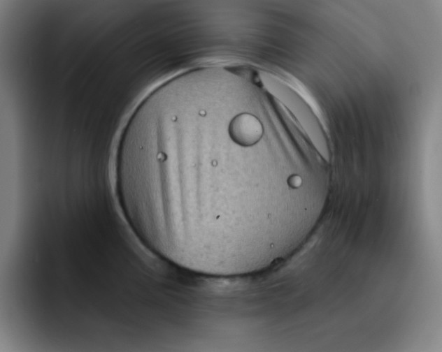 X0000091911195200709261710