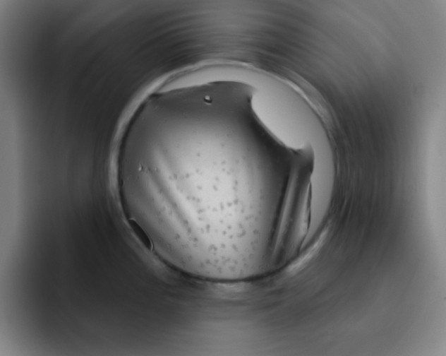 X0000091911196200709261710