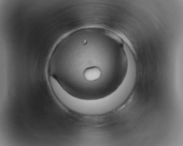 X0000091911197200709261710