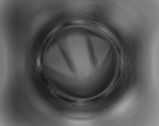 X0000091911198200709261710