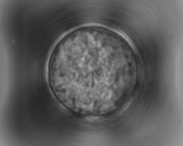 X0000091911199200709261710