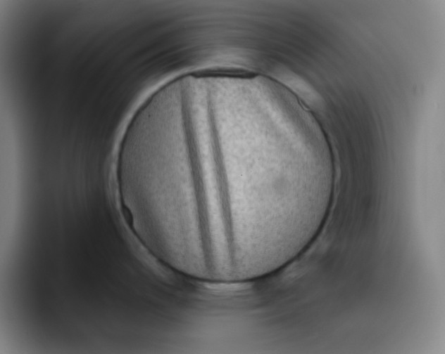 X0000091911200200709261710