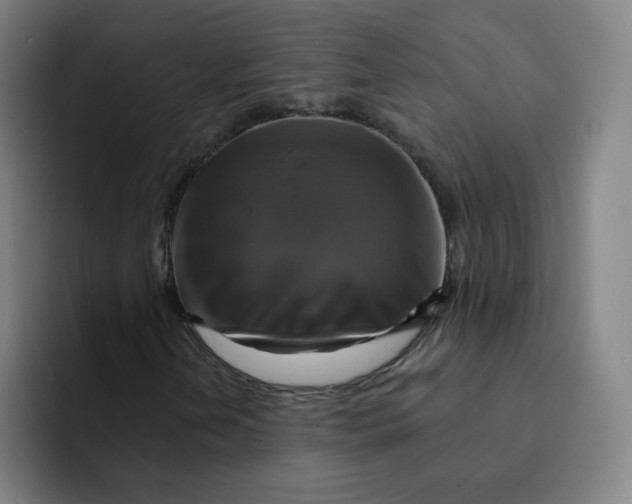 X0000091911202200709261709