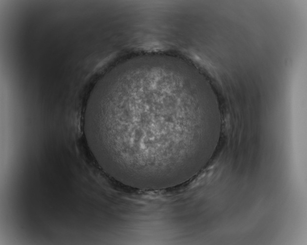 X0000091911205200709261709