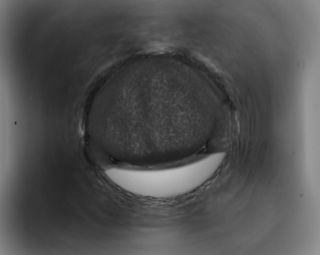 X0000091911206200709261709