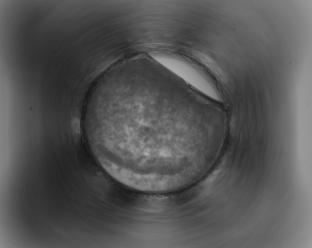 X0000091911209200709261709