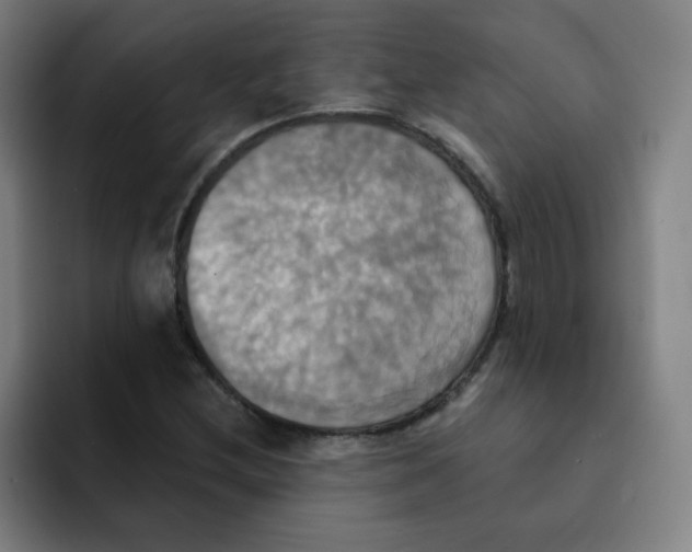 X0000091911212200709261709