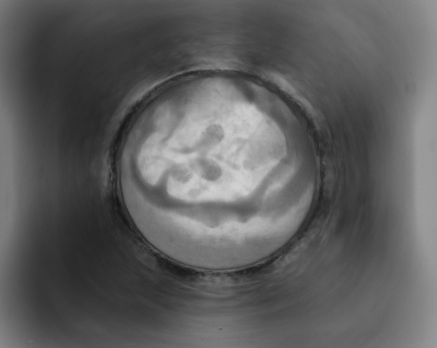 X0000091911215200709261709