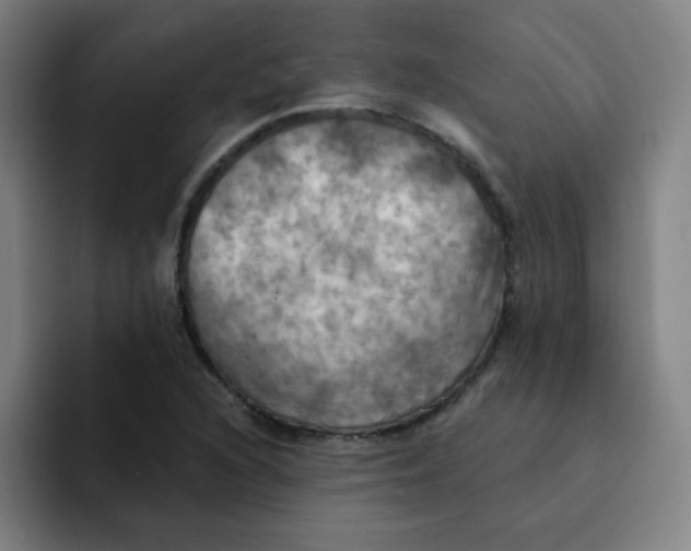 X0000091911216200709261709