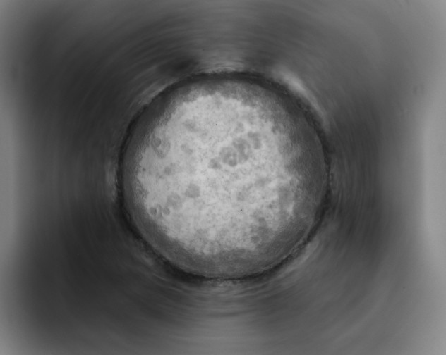 X0000091911217200709261709