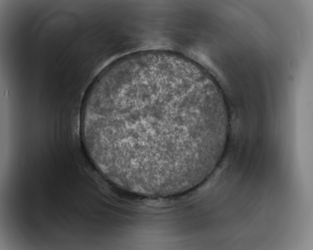 X0000091911220200709261710