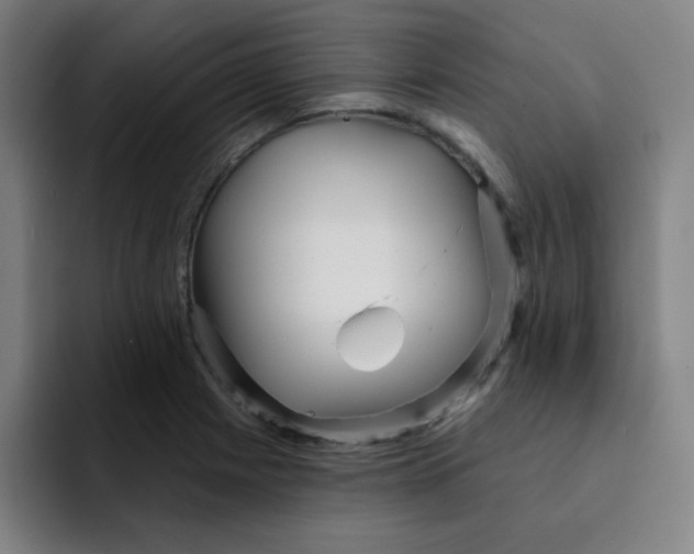 X0000091911225200709261710