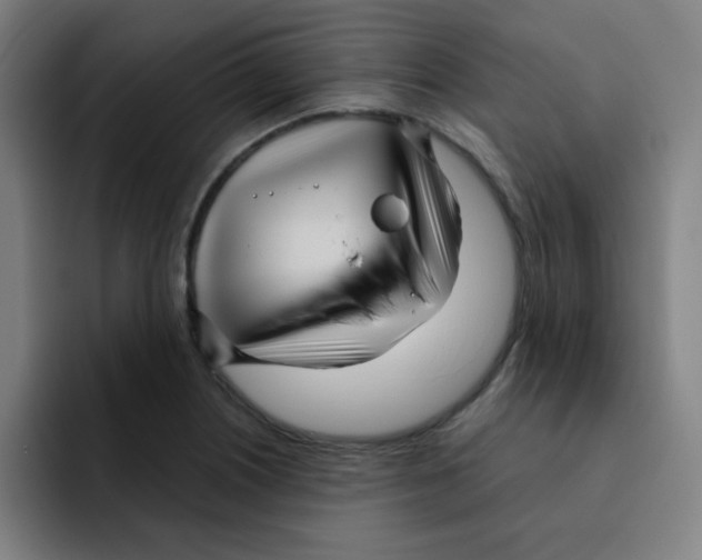 X0000091911226200709261710