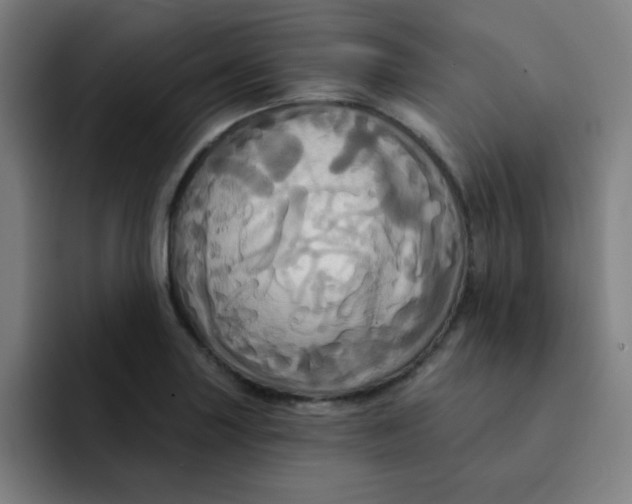 X0000091911227200709261710