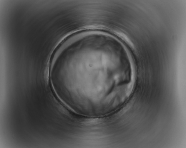 X0000091911228200709261710