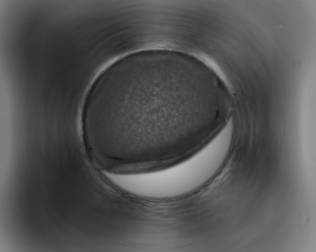 X0000091911230200709261710