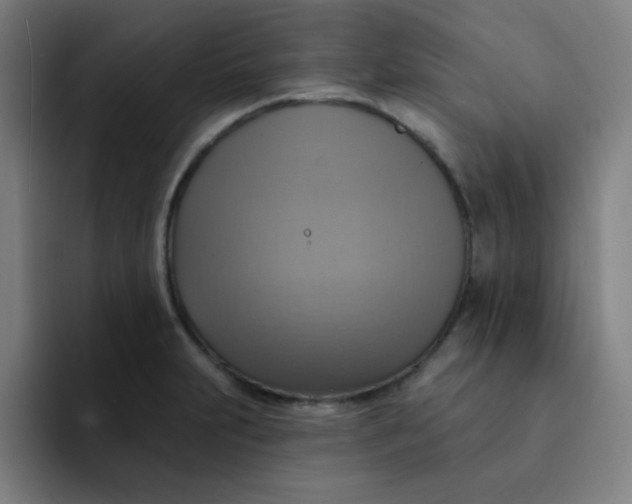 X0000091911231200709261710