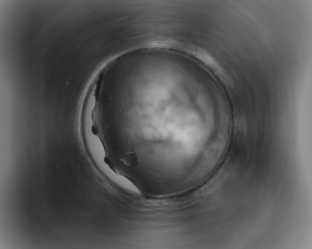 X0000091911232200709261710