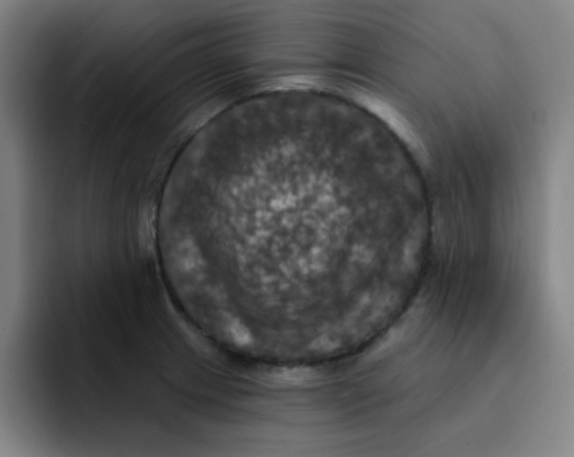 X0000091911233200709261710