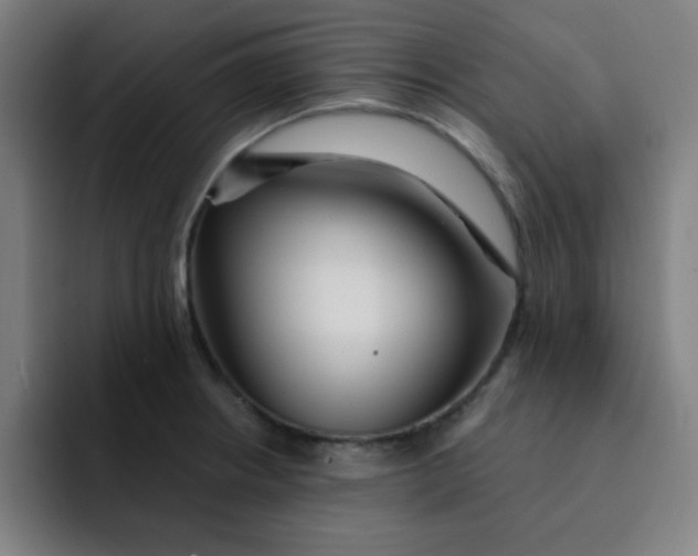 X0000091911234200709261710