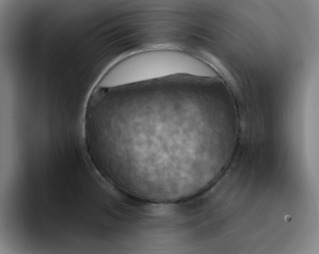 X0000091911236200709261710