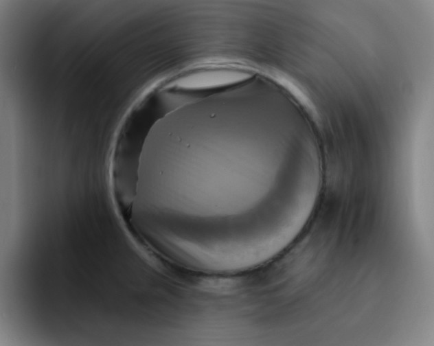 X0000091911237200709261710