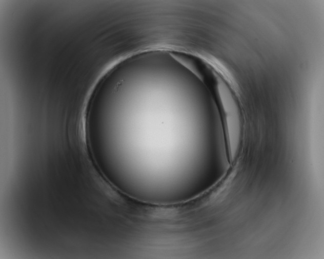 X0000091911238200709261710