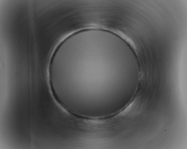 X0000091911239200709261710