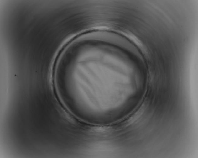 X0000091911240200709261710