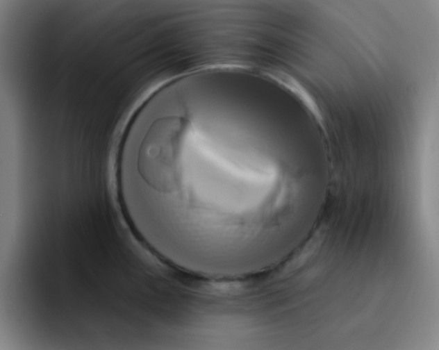 X0000091911243200709261710