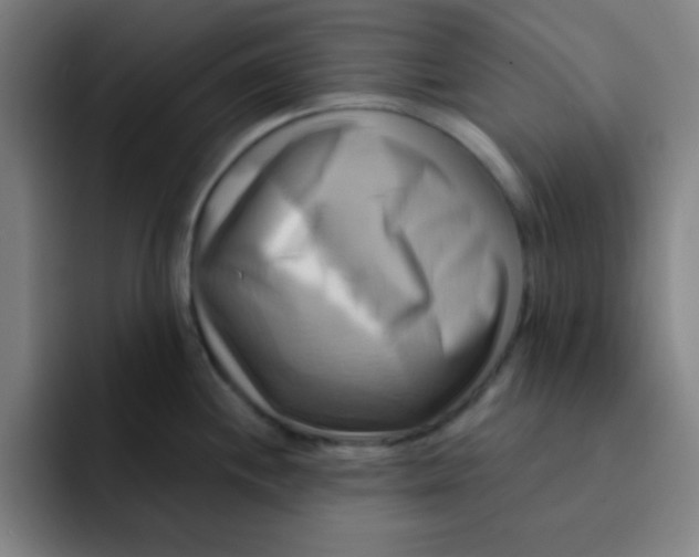 X0000091911244200709261710