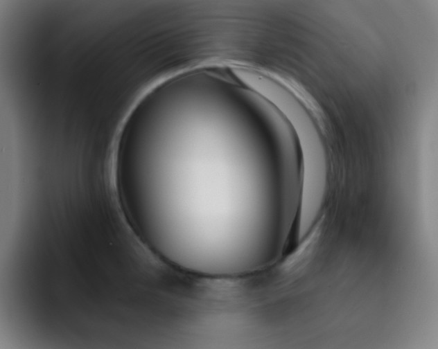 X0000091911246200709261710