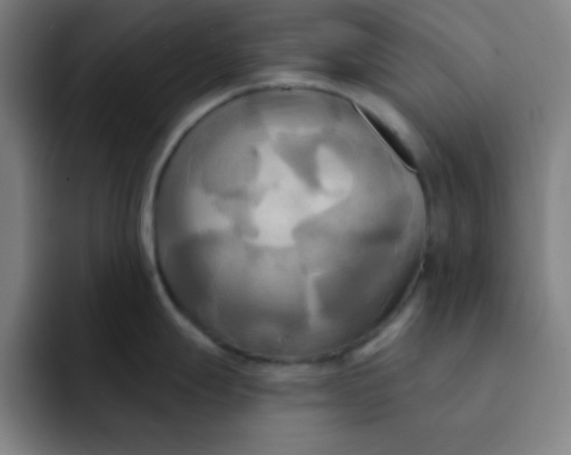 X0000091911247200709261710