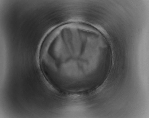 X0000091911248200709261710