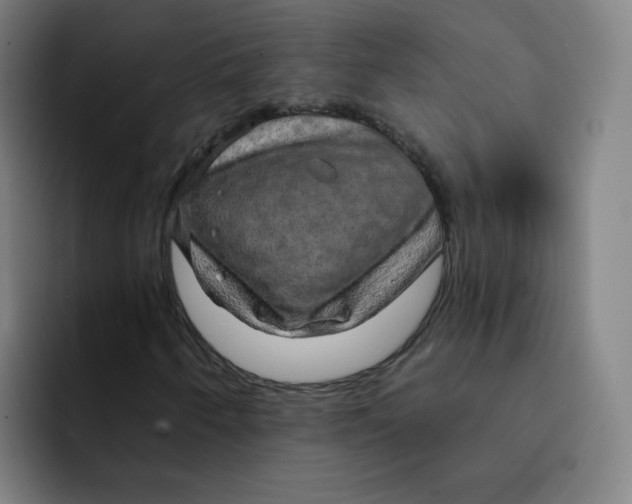 X0000091911250200709261709