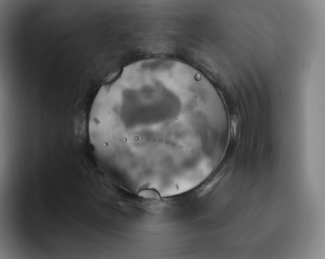 X0000091911251200709261709