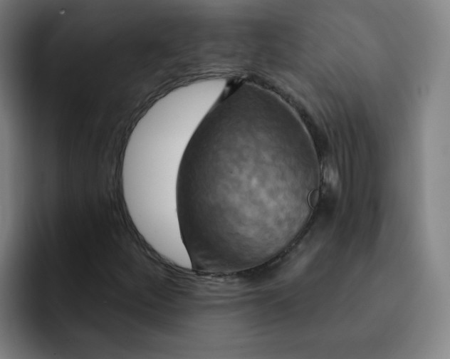 X0000091911252200709261709