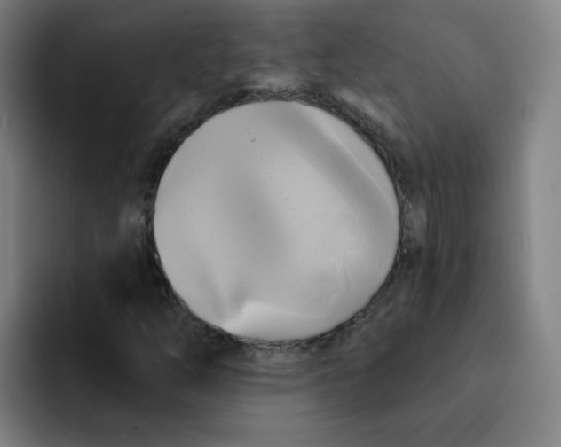 X0000091911254200709261709