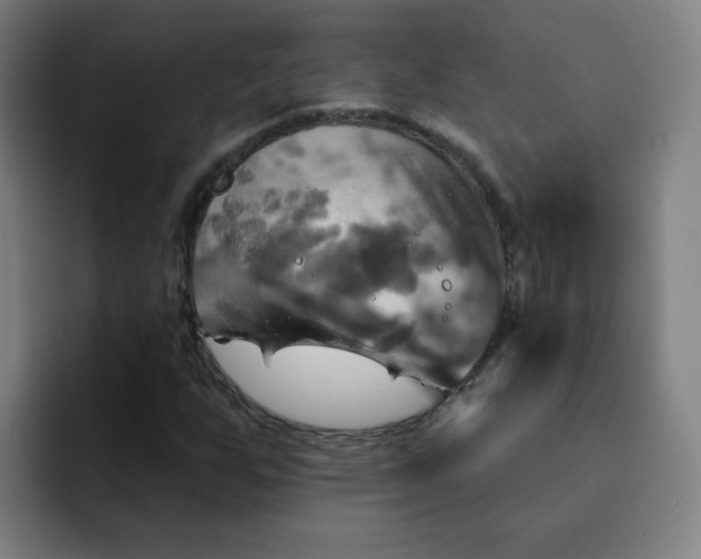 X0000091911255200709261709